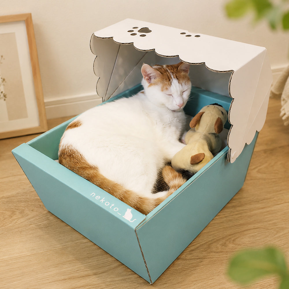 段ボール製ベッドでくつろぐる猫
