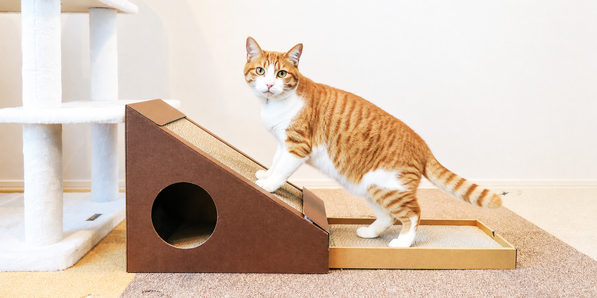 モニター　変形爪とぎハウス　ナチュラル　猫ハウス　爪とぎ　段ボール　猫用品