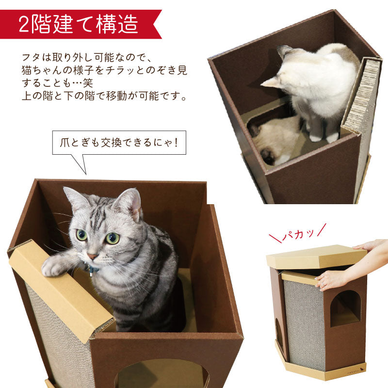 コーナースクラッチハウス　猫ハウス　爪とぎ　段ボール　ナチュラル　モニター