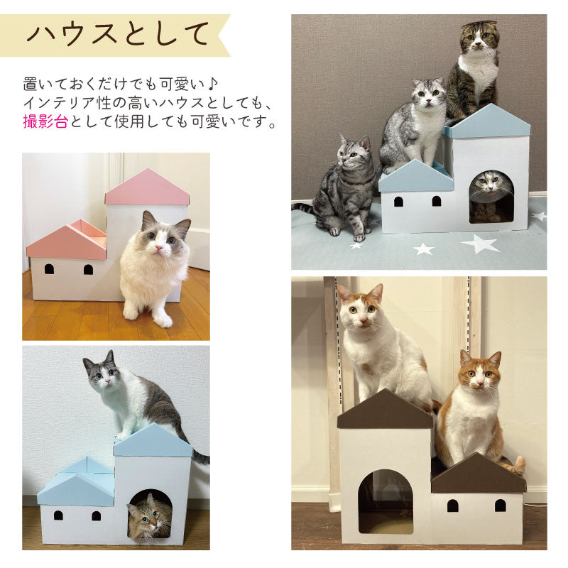 キャットステップ　段ボール　猫ハウス　ステップ　使い方　モニター　撮影台