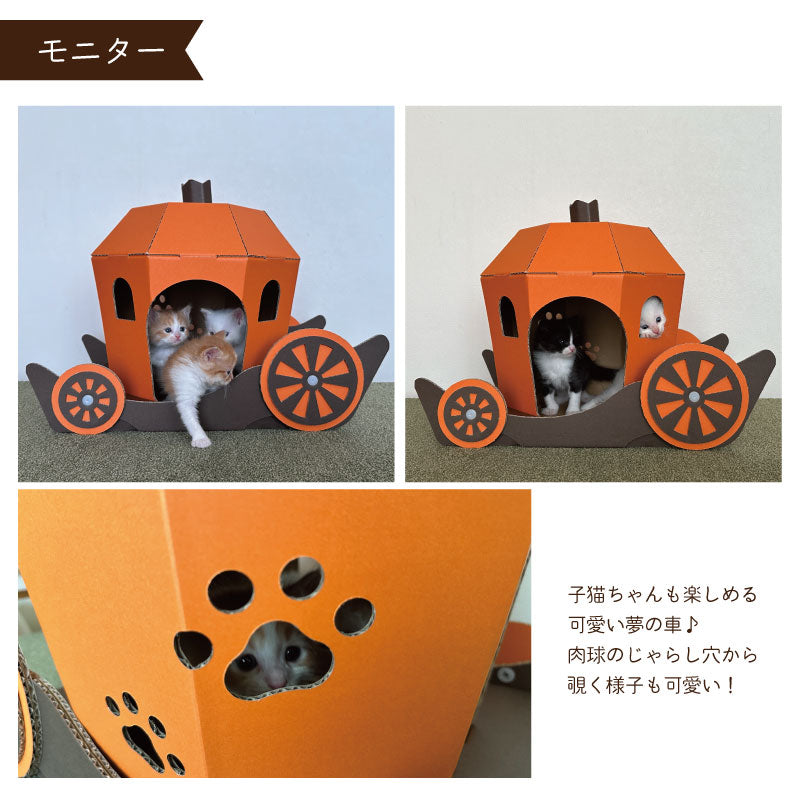かぼちゃの馬車　猫ハウス　段ボール　ハロウィン　モニター　オレンジ