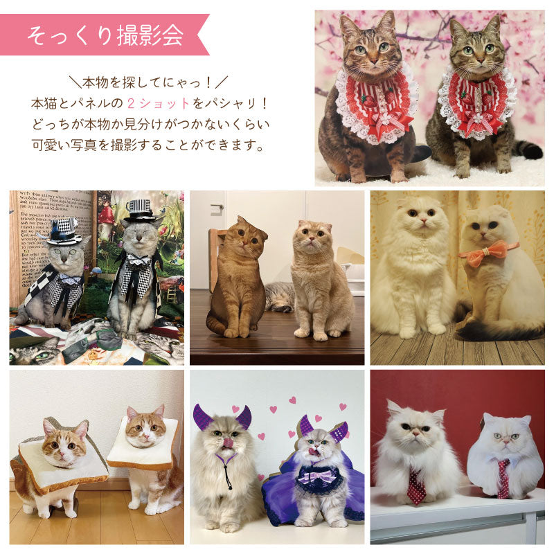 うちの子爪とぎパネル　爪とぎ　うちの子グッズ　オリジナルグッズ　プレゼント　猫用品　撮影会