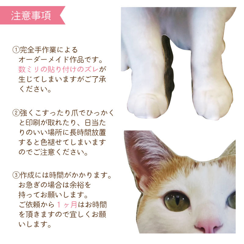 うちの子爪とぎパネル　爪とぎ　うちの子グッズ　オリジナルグッズ　プレゼント　猫用品　注意事項