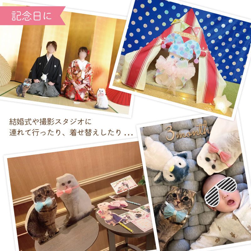 うちの子爪とぎパネル　爪とぎ　うちの子グッズ　オリジナルグッズ　プレゼント　猫用品　記念日　メモリアルグッズ