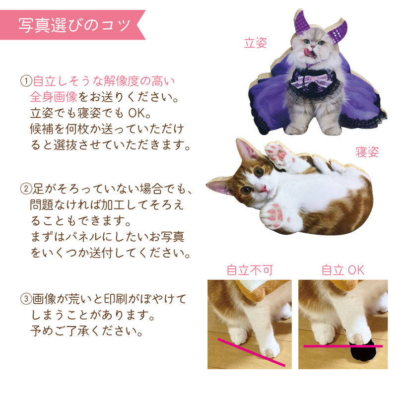 うちの子爪とぎパネル　爪とぎ　うちの子グッズ　オリジナルグッズ　プレゼント　猫用品　写真