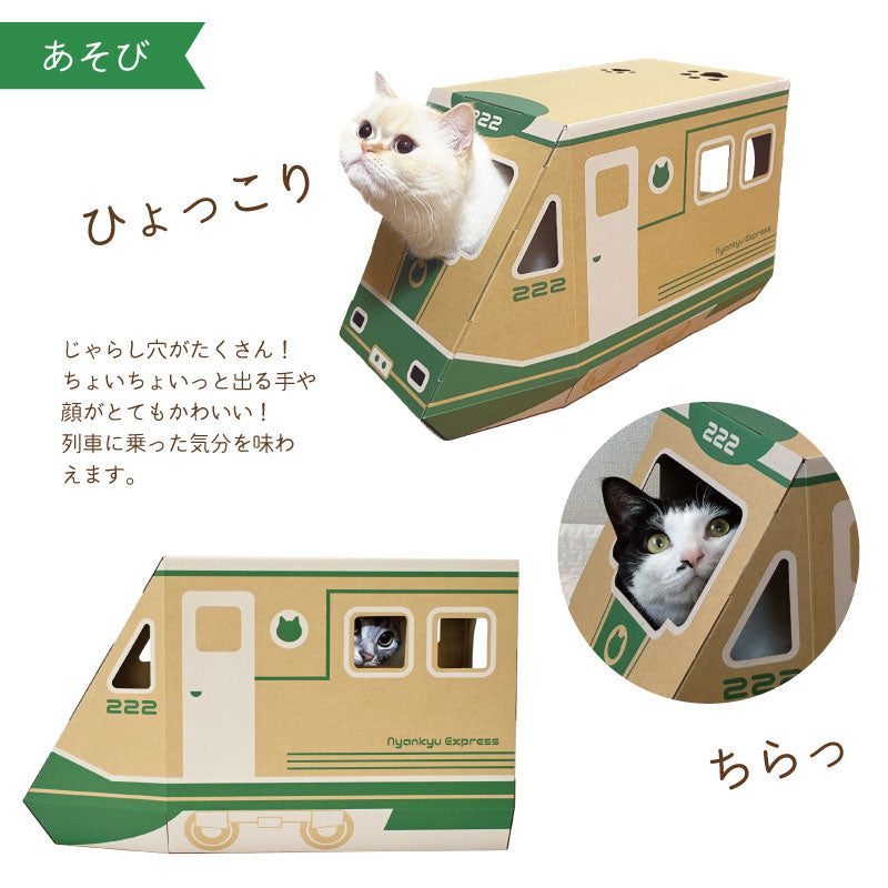 にゃん急エクスプレス　猫ハウス　段ボール　列車　モニター　遊び方