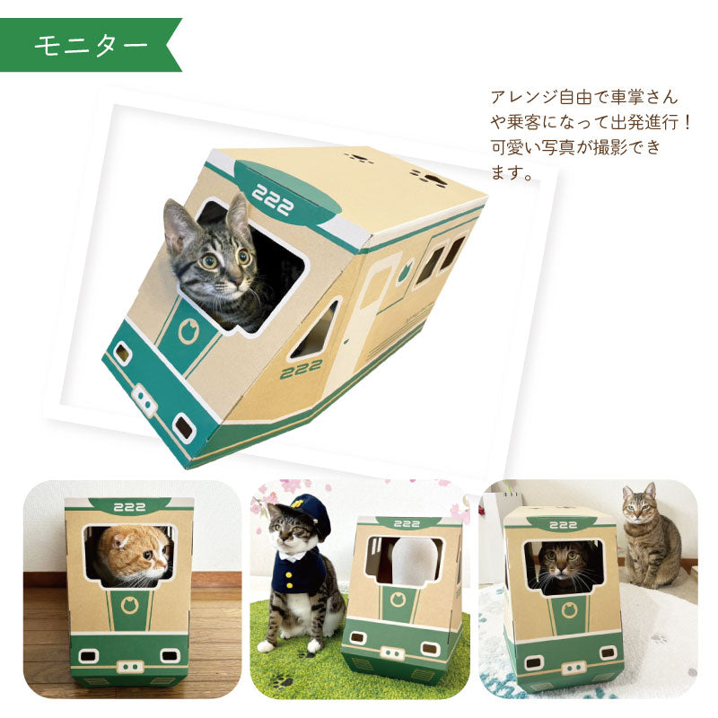 にゃん急エクスプレス　猫ハウス　段ボール　列車　モニター