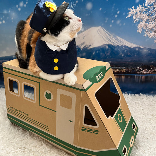 にゃん急エクスプレス　猫ハウス　段ボール　列車　モニター　車掌さん