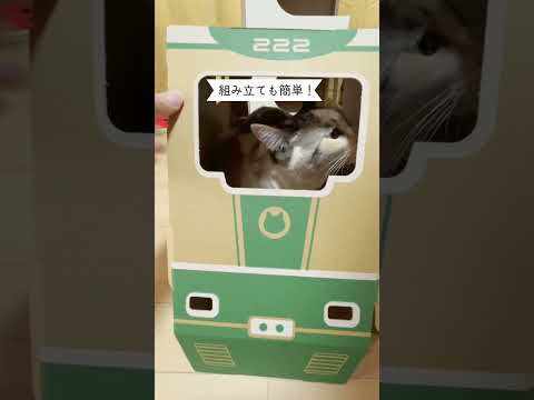 にゃん急エクスプレス　猫ハウス　段ボール　列車　モニター　動画