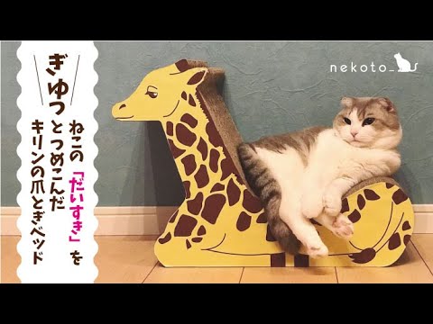 キリン　爪とぎ　猫ベッド　メルヘン　段ボール　nekoto_　モニター　クラファン　動画