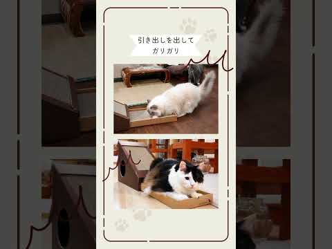 変形爪とぎハウス　段ボール　猫ハウス　猫用品　爪とぎ　モニター　ナチュラル