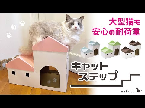 キャットステップ　段ボール　猫ハウス　ステップ　モニター　動画