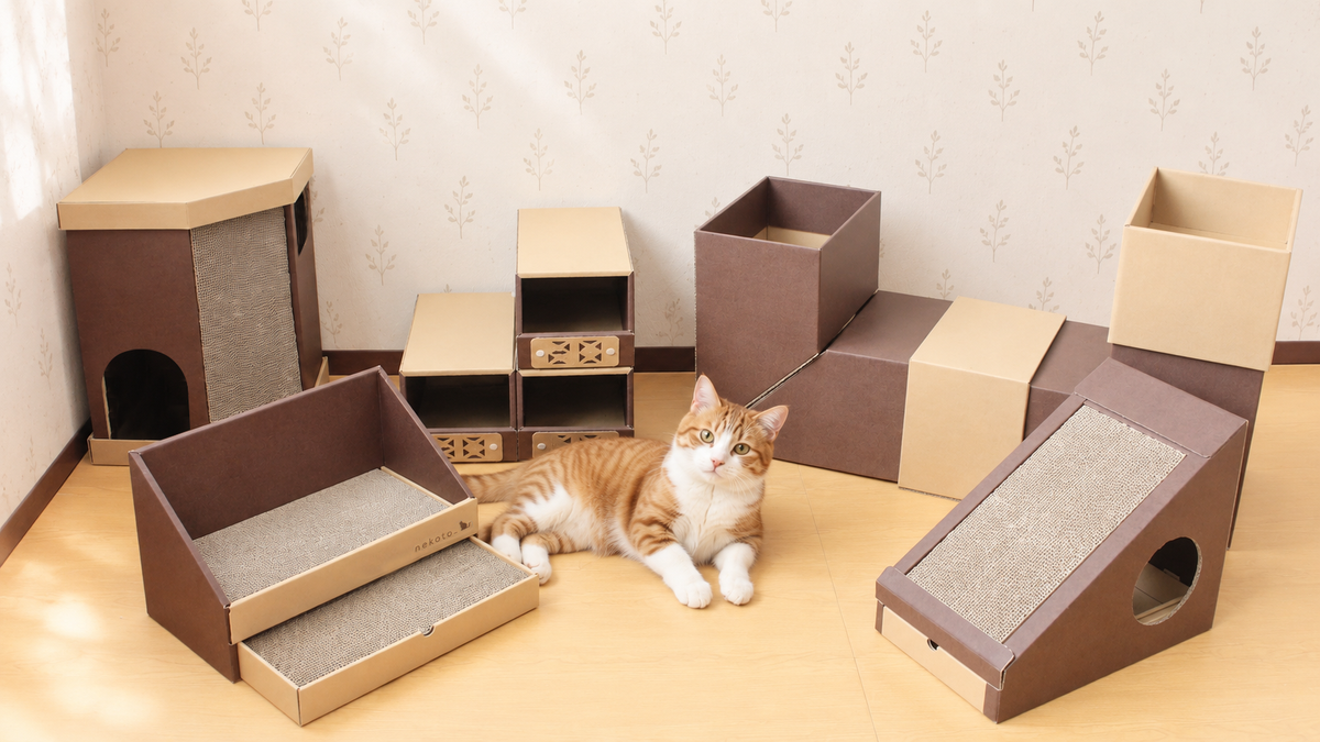 猫用品　段ボール　爪とぎ　猫ハウス　サンプル　猫グッズ　猫ベッド